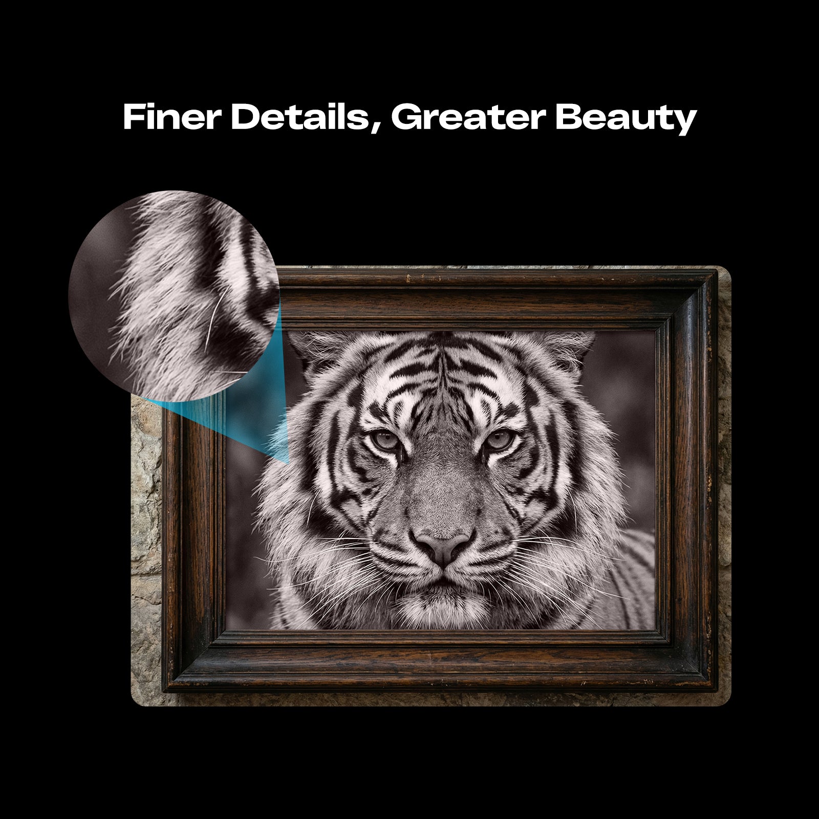 Creality Falcon T1 5-in-1 Laser Engraver