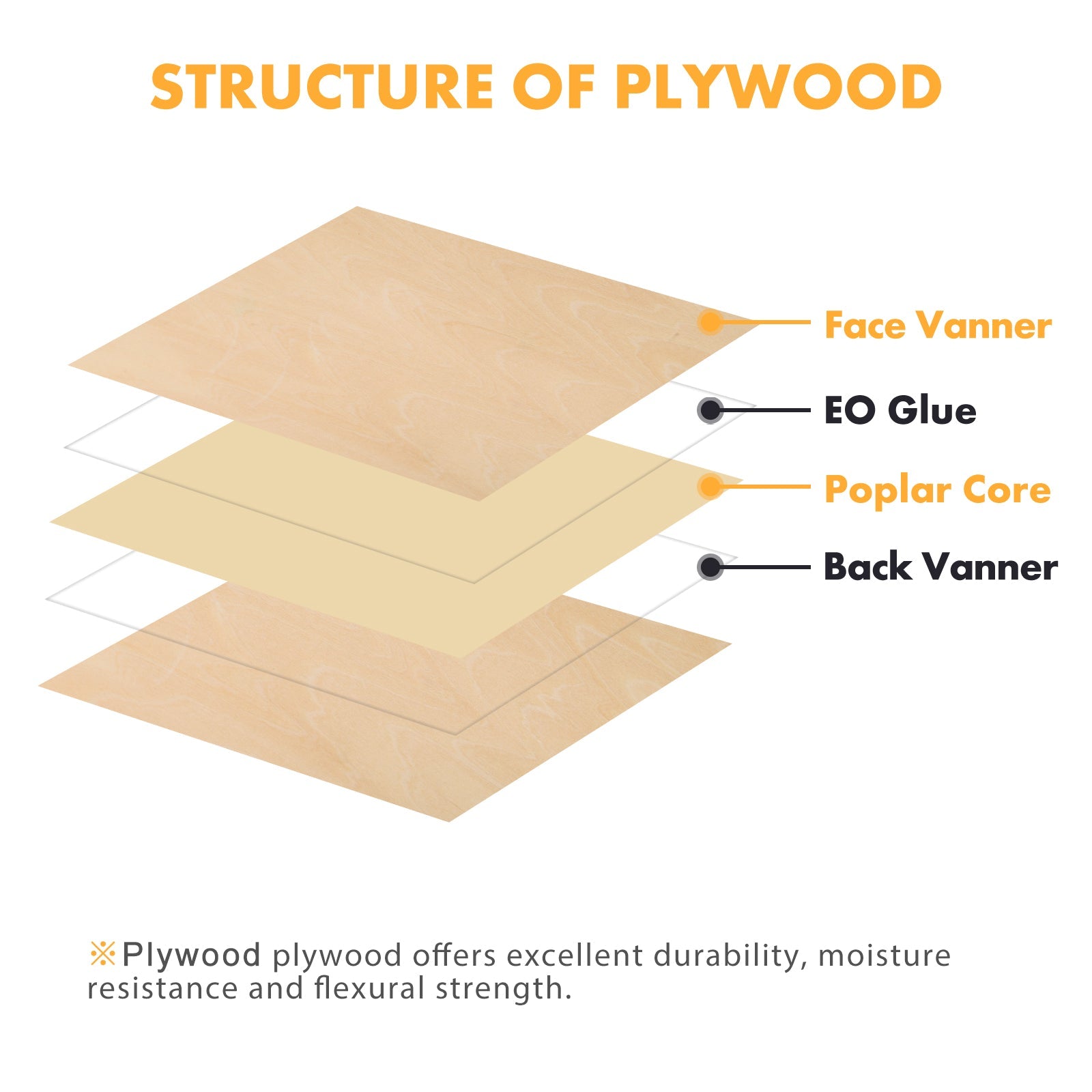 Diagram illustrating the structure of A4 Plywood Sheets 11.8*11.8*1/8” for Falcon Laser Engraving and Cutting - Pack of 10pcs by CrealityFalcon. The image shows labeled layers from top to bottom: "Face Vanner," "EO Glue," "Poplar Core," and "Back Vanner." A note at the bottom states that A4 Plywood Sheets 11.8*11.8*1/8” for Falcon Laser Engraving and Cutting - Pack of 10pcs offers excellent durability, moisture resistance, and flexural strength—ideal for DIY craft projects.
